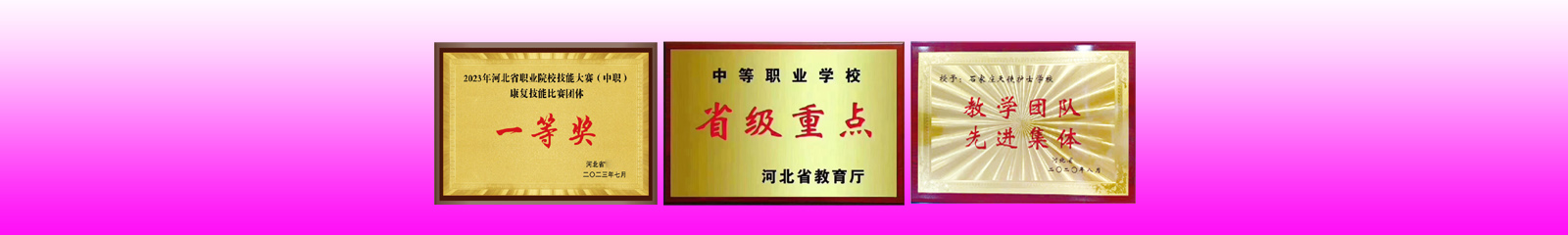 石家莊天使護(hù)士學(xué)校